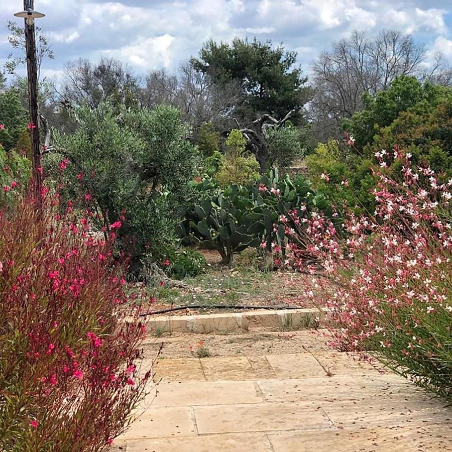 Tenuta La Milogna Gallipoli Εξωτερικό φωτογραφία